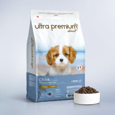 Croquettes Super Premium pour chiot de petite et moyenne taille en sac de 12 kg sur fond bleu clair