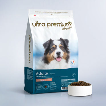 Croquettes Super Premium saumon et riz pour chien adulte de toutes tailles en sac de 12 kg sur fond bleu clair