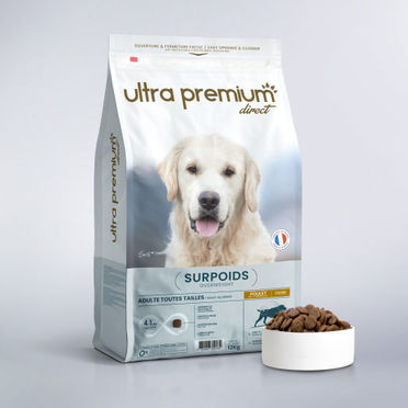 Croquettes Care pour chien adulte stérilisé / surpoids de toutes tailles en sac de 12 kg sur fond blanc