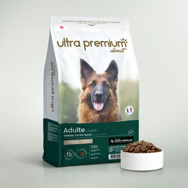 Croquettes sans céréales pour chien adulte de toutes tailles en sac de 12 kg sur fond blanc