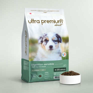 Croquettes sans céréales pour chiot digestion sensible de toutes tailles sur fond blanc