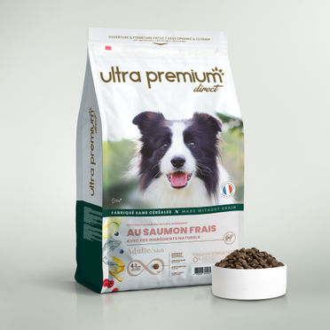 Croquettes sans céréales au saumon frais pour chien adulte de toutes tailles en sac de 12 kg sur fond blanc