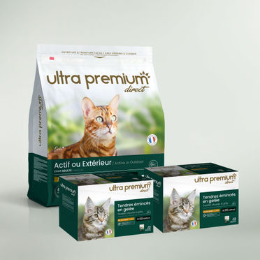 Pack bi-nutrition composé d'un sac de 7 kg de croquettes sans céréales pour chat adulte actif ou d'extérieur, et de 96 émincés en gelée sans céréales au poulet, sur fond vert clair