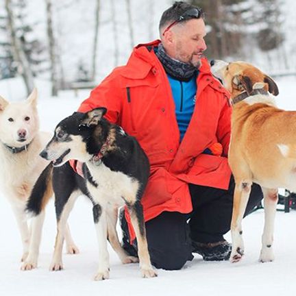 musher avec ses chiens dans la neige