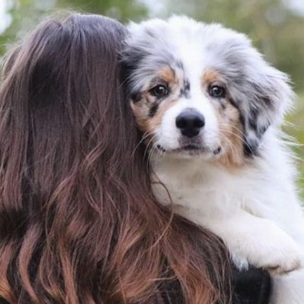 Une femme, dos à la caméra, porte un chien regardant l'objectif