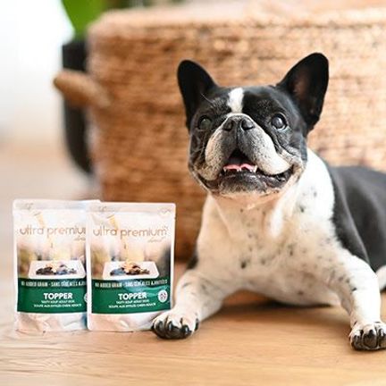 Un Bouledogue à côté de 2 toppers Ultra Premium Direct