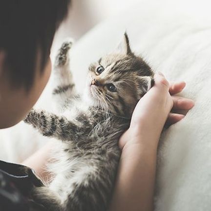 Enfant caressant un chaton 