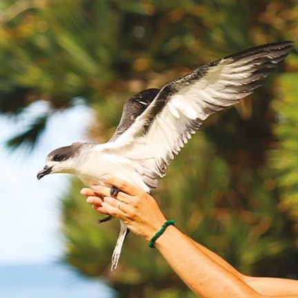 mission protection n°3 ultra premium direct