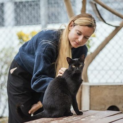 staff Ultra Premium Direct chat noir refuge