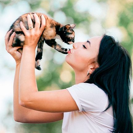 Chat tenu par sa maîtresse