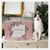 Box Cadeau pour chat