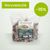 Sachet de cous de poulet pour chien sur fond vert clair