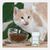 Natuurlijke ontwormer voor kat - Vermiphyto - 30 tabletten