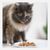 48 Sachets Fraîcheur pour Chat Sans Céréales - Tendres Emincés en Sauce Poulet / Dinde
