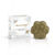 Shampooing solide pour chien