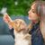 Friandise éducation fabriquée sans céréales pour chien