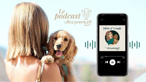 Podcast Zélie et Ursule, cocker beige