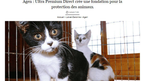 article sud ouest fondation UPD