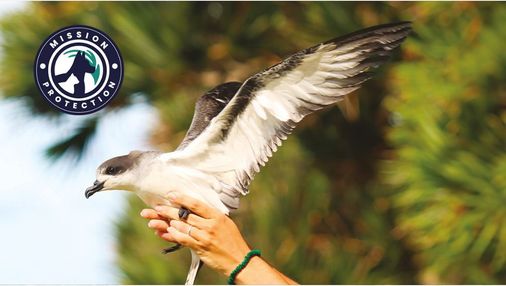 mission protection n°3 ultra premium direct