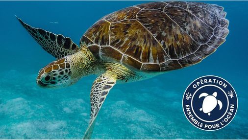 Ensemble pour l'océan