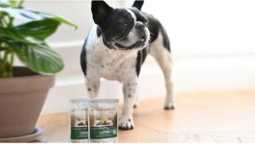 Bouledogue français avec les toppers Ultra Premium Direct