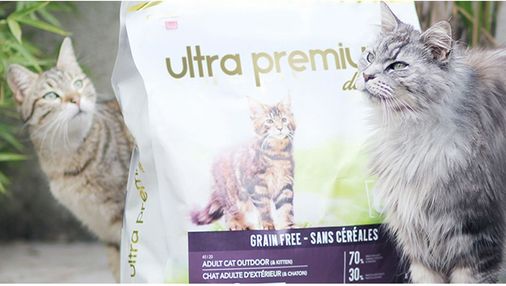 2 chats à côté d'un sac de croquettes fabriquées sans céréales d'Ultra Premium Direct
