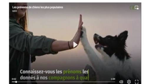Article de Geo : "Quels sont les prénoms de chiens les plus populaires ?"