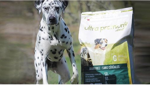 Dalmatiër bij een zak Ultra Premium Direct brokken