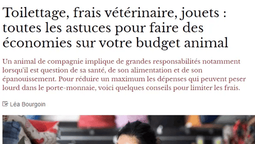 Article Femina toilettage animaux