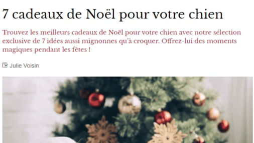 article fémina cadeaux de noël pour chien