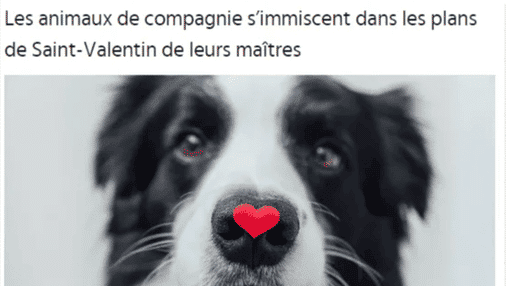 article saint valentin