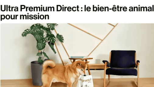 article BRUT ultra premium direct