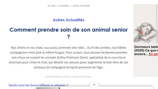 comment prendre soin de mon animal senior ?