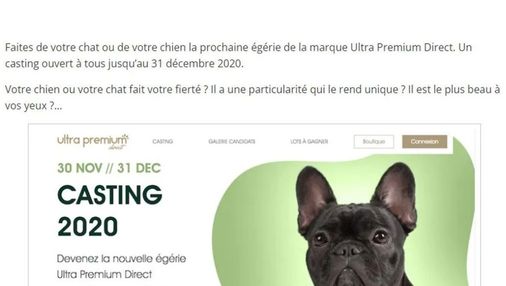 Article de Femina Actu intitulé : "Et si votre chat ou votre chien devenait la prochaine égérie d'Ultra Premium Direct"