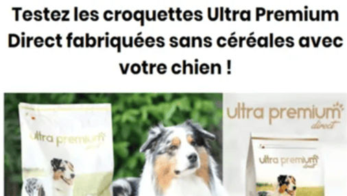 Article de Wamiz : "Testez les croquettes Ultra Premium Direct fabriquées sans céréales avec votre chien !"
