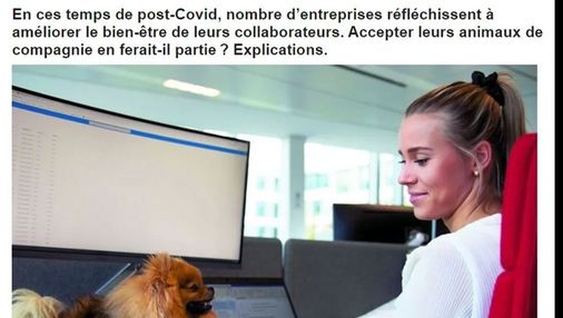 Article de LSA "Ces entreprises qui accueillent les animaux au travail"