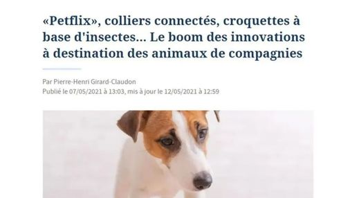 Article du Figaro intitulé : "Petflix", colliers connectés, croquettes à base d'insectes... Le boom des innovations à destination des animaux de compagnie"