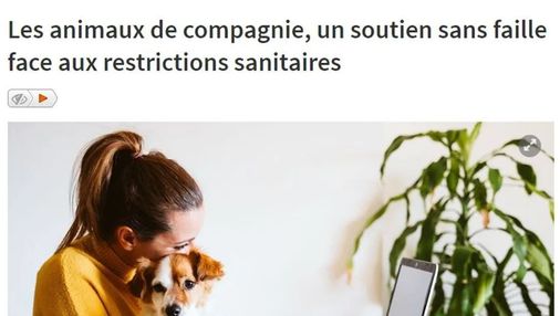 Article de la RTBF intitulé : "Les animaux de compagnie, un soutien sans faille face aux restrictions sanitaires"