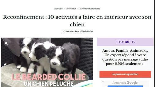 Article de Femme Actuelle intitulé : "Reconfinement : 10 activités à faire en intérieur avec son chien"