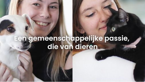 Ultra Premium Direct “Een gemeenschappelijke passie, die van dieren”