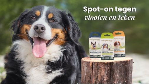 Ultra Premium Direct Spot-on tegen vlooien en teken voor hond