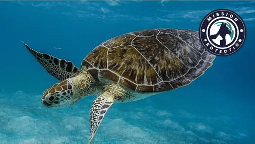 Mission Protection editie nr. 1