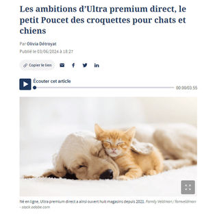 Article Le Figaro UPD