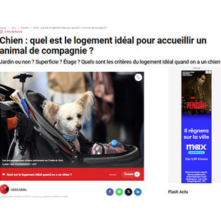 article rtl logement
