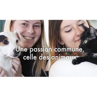 Ultra Premium Direct "Une passion commune, celle des animaux"