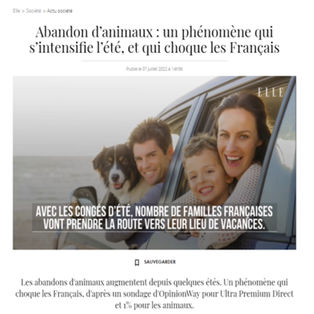 Article de Elle : "Abandon d’animaux : un phénomène qui s’intensifie l’été, et qui choque les Français"