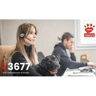 Création de la ligne SOS animaux