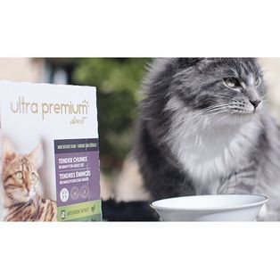 Chat gris à côté des sachets fraicheur pour chat d'Ultra Premium Direct