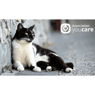 Programme de stérilisation avec l'association YouCare