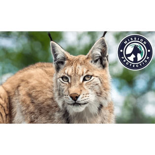mission protection protection lynx ultra premium direct